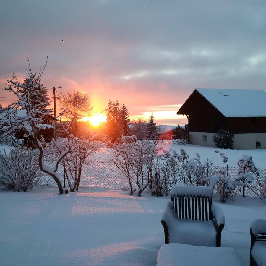 Chalet Les Aigles Saint-Sixt Dış mekan fotoğraf